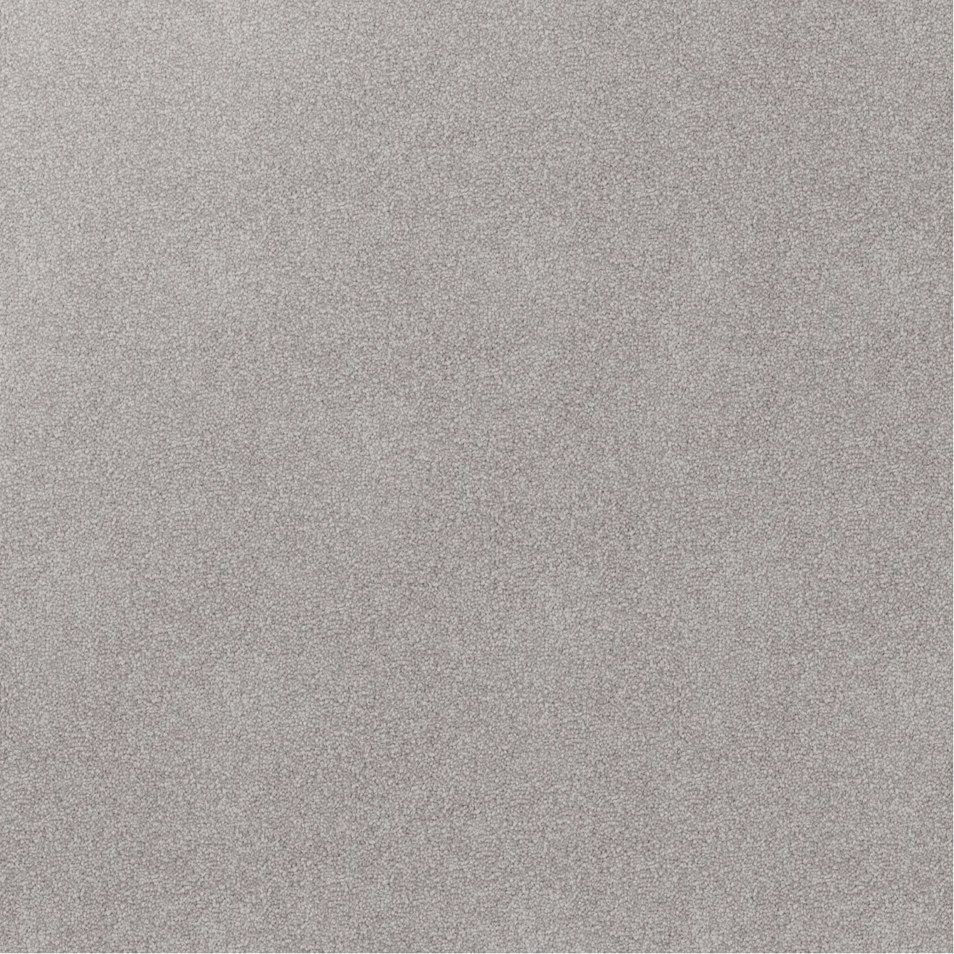 Gray textured carpet for home and work