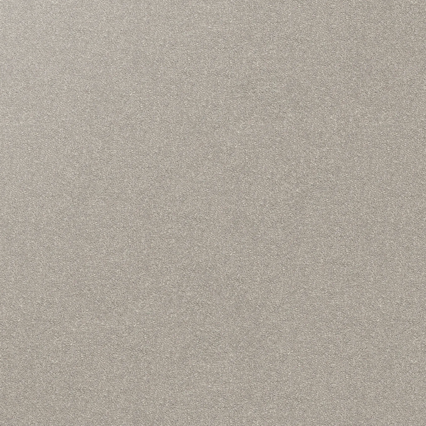Dream Shadows Carpet