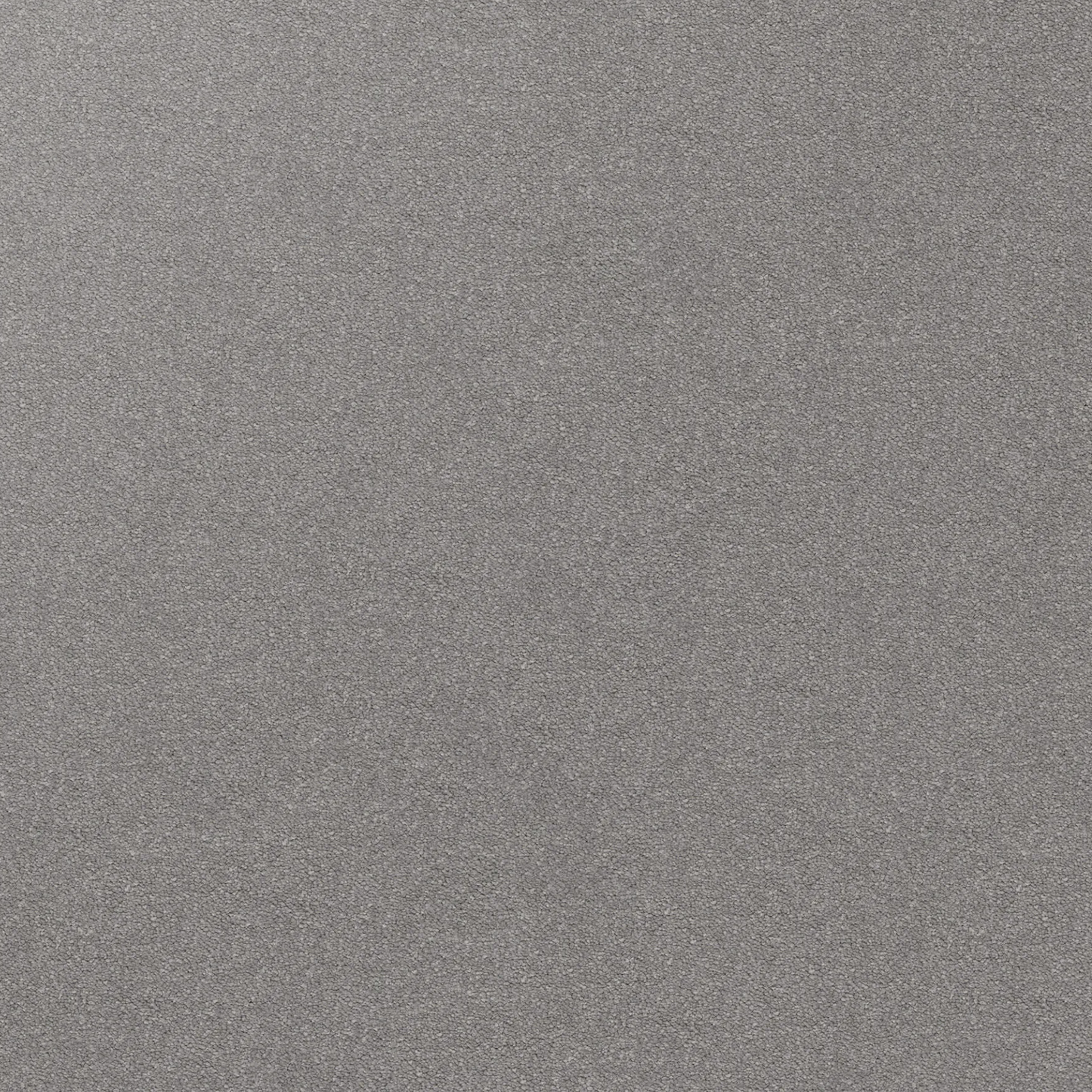 Dream Shadows Carpet