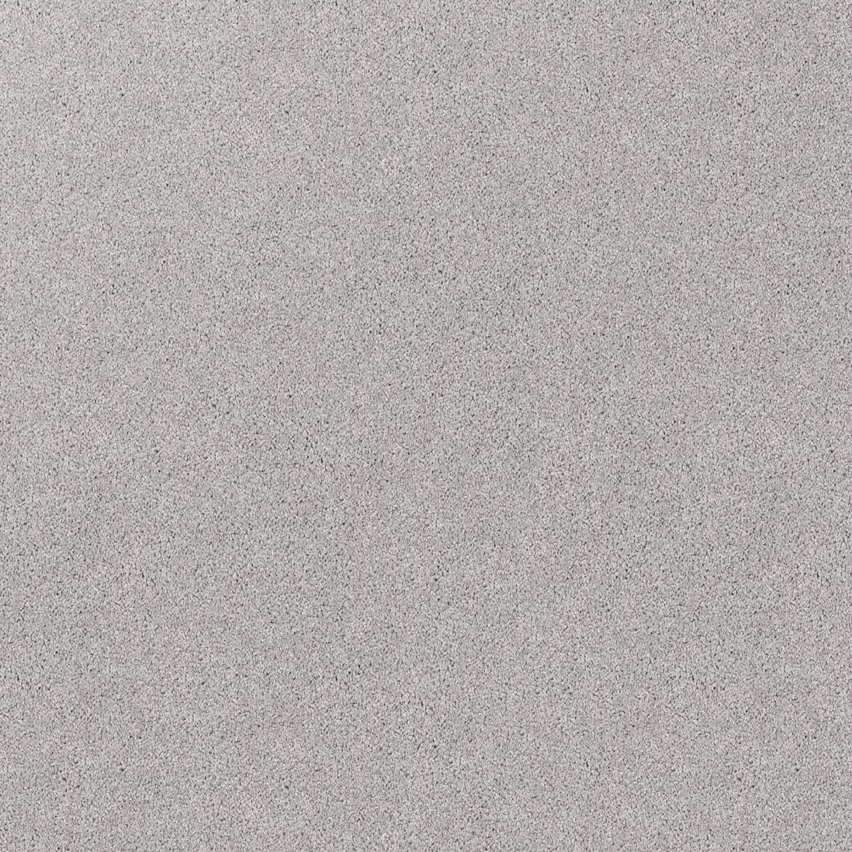 Regal Elegance Carpet