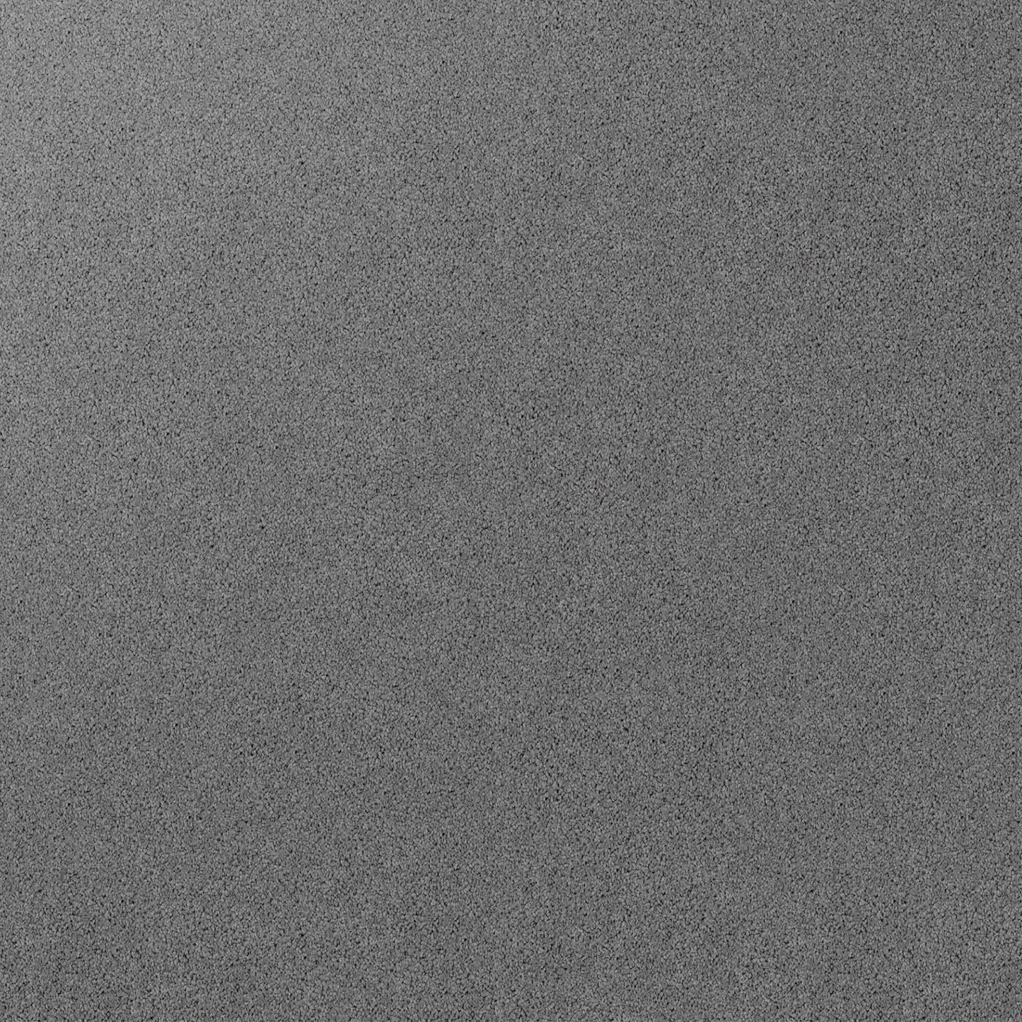 Gentle Essence Carpet