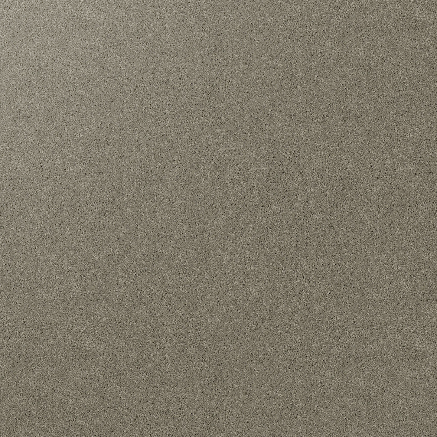 Gentle Essence Carpet