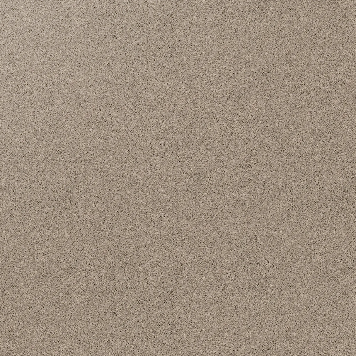 Gentle Essence Carpet