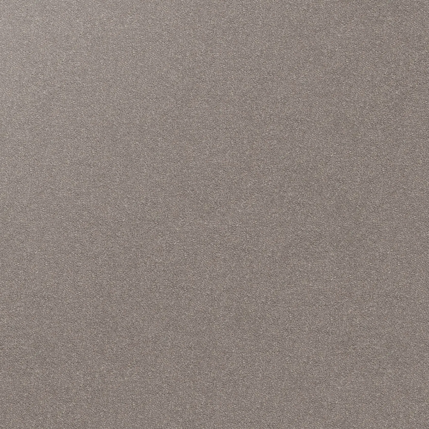 Dream Shadows Carpet