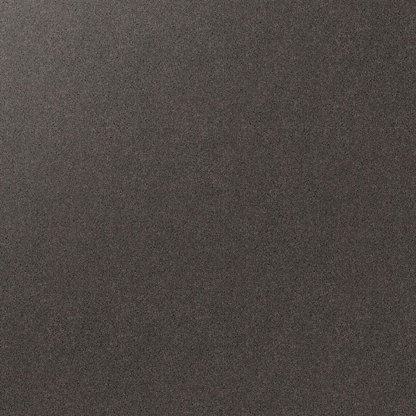 Gentle Essence Carpet