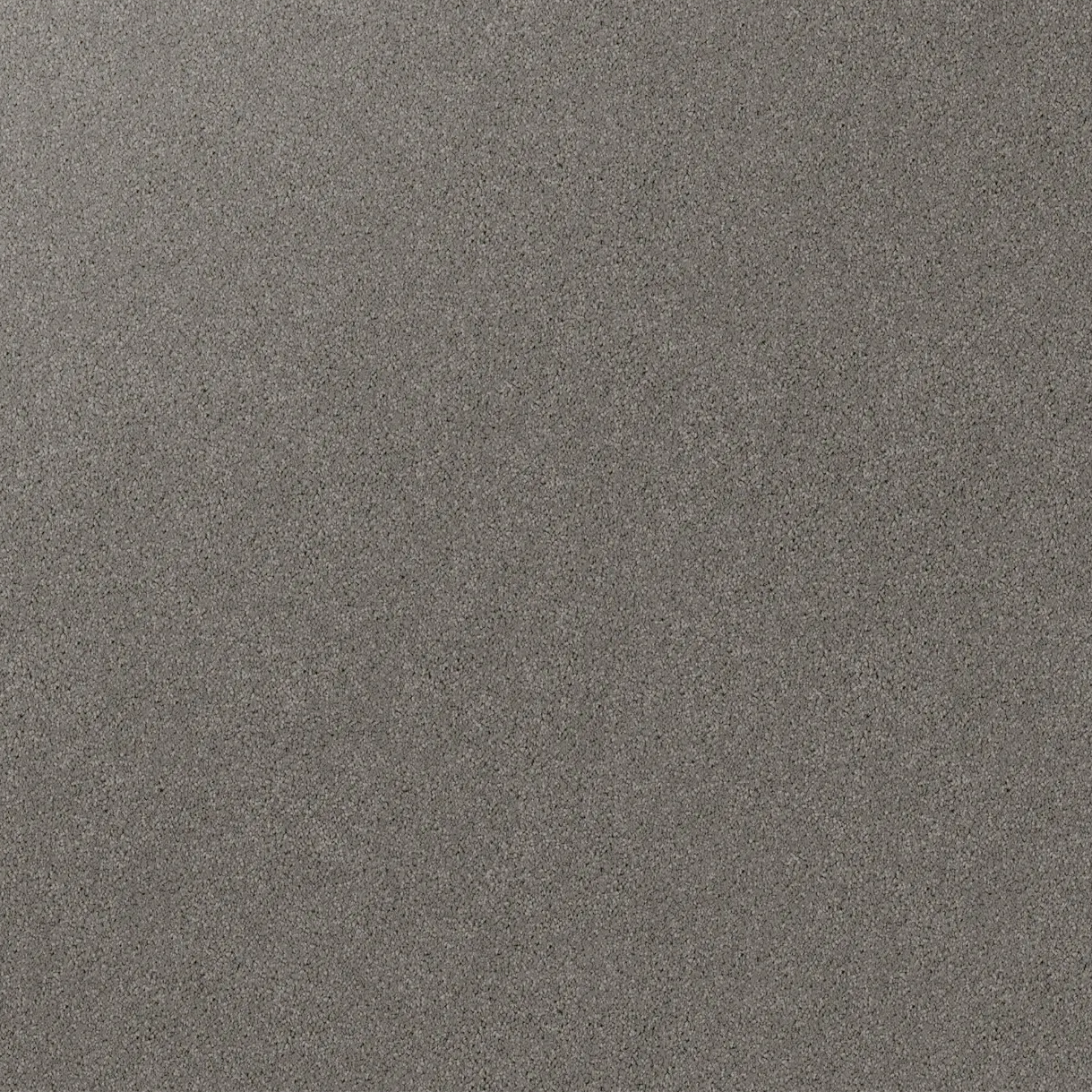 Gentle Essence Carpet