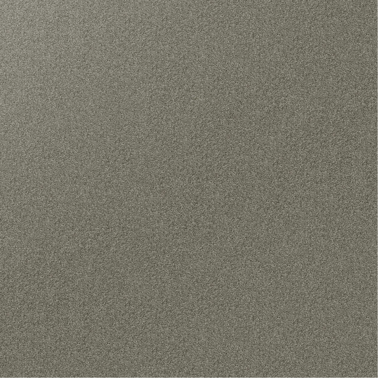 Domain Rise Carpet