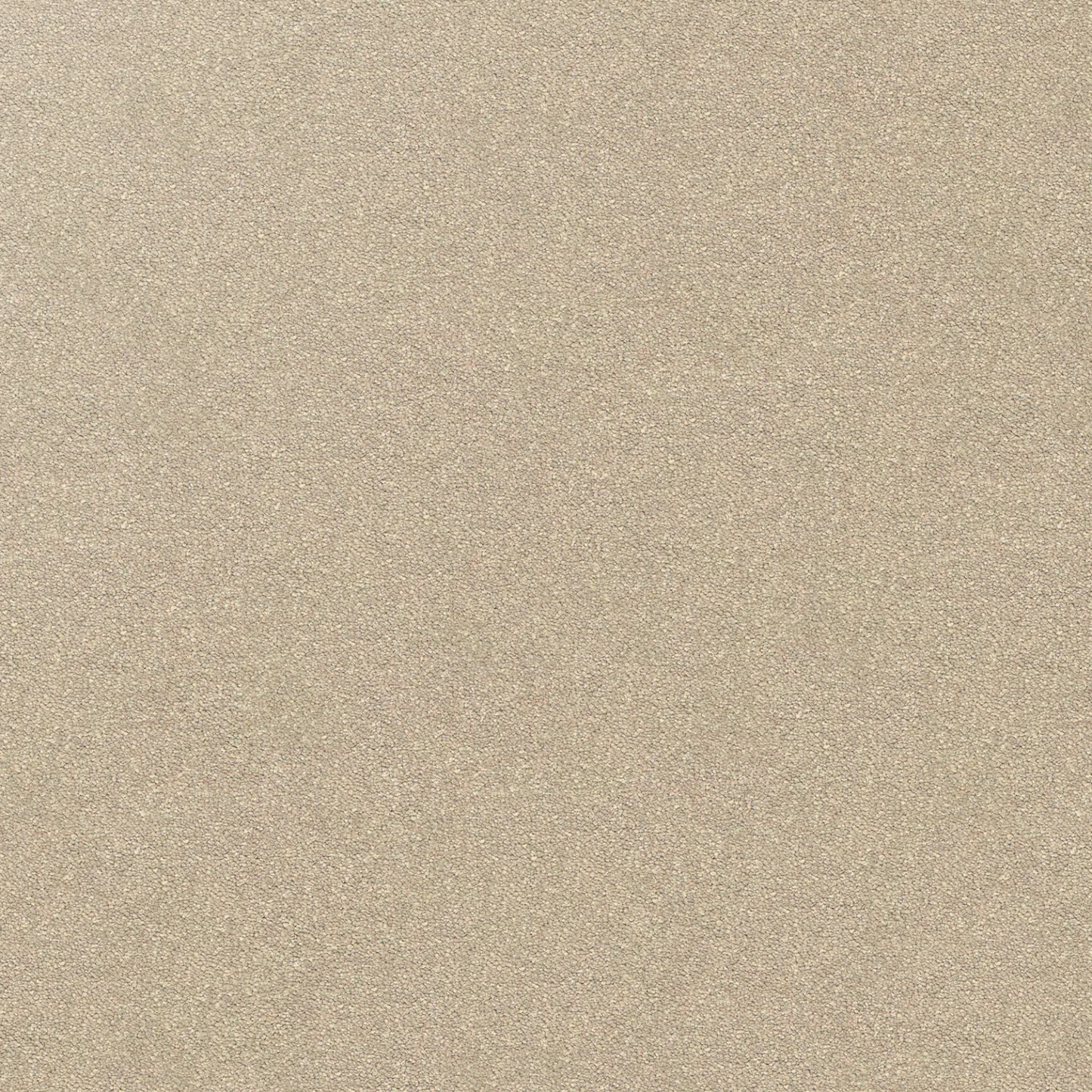 Dream Shadows Carpet