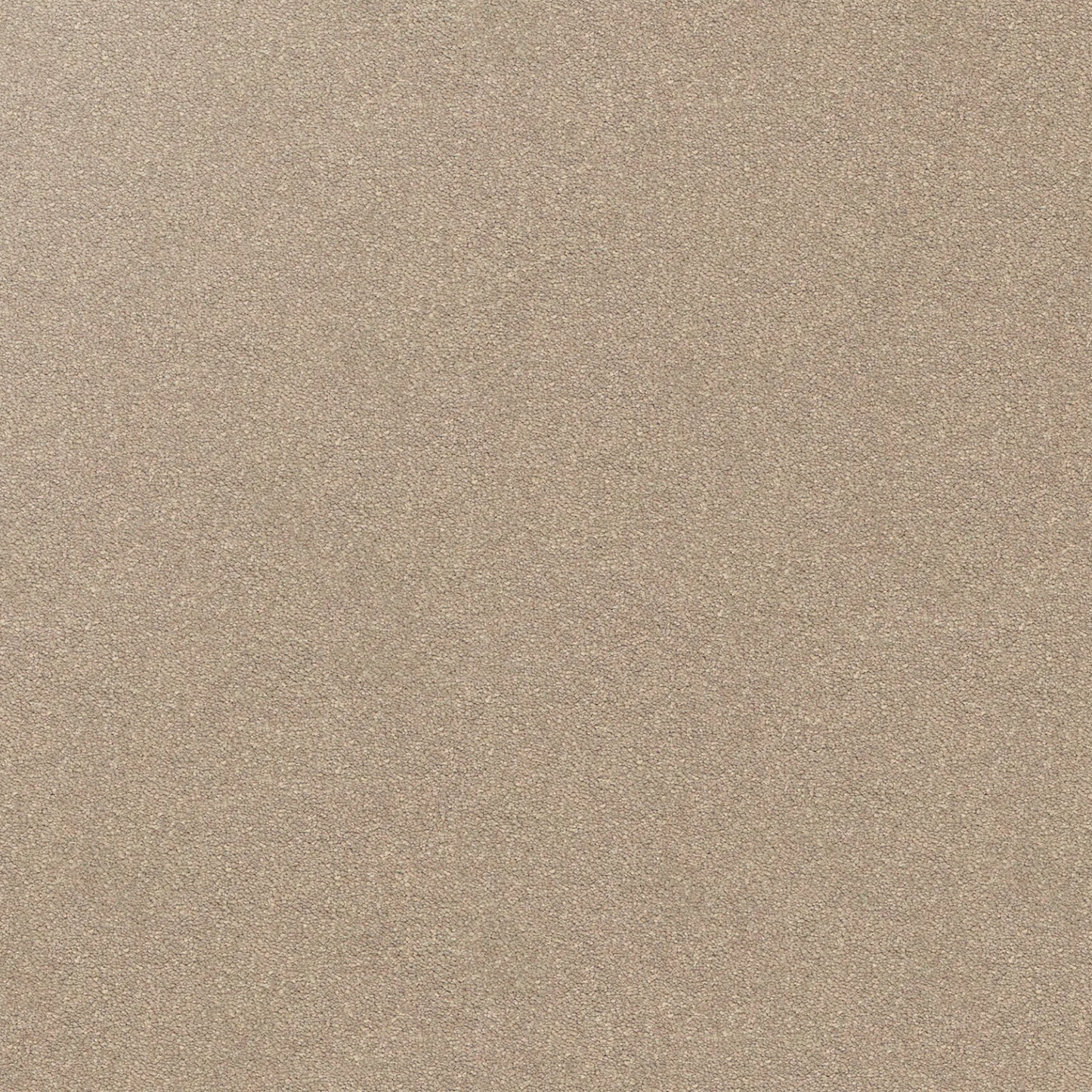Dream Shadows Carpet