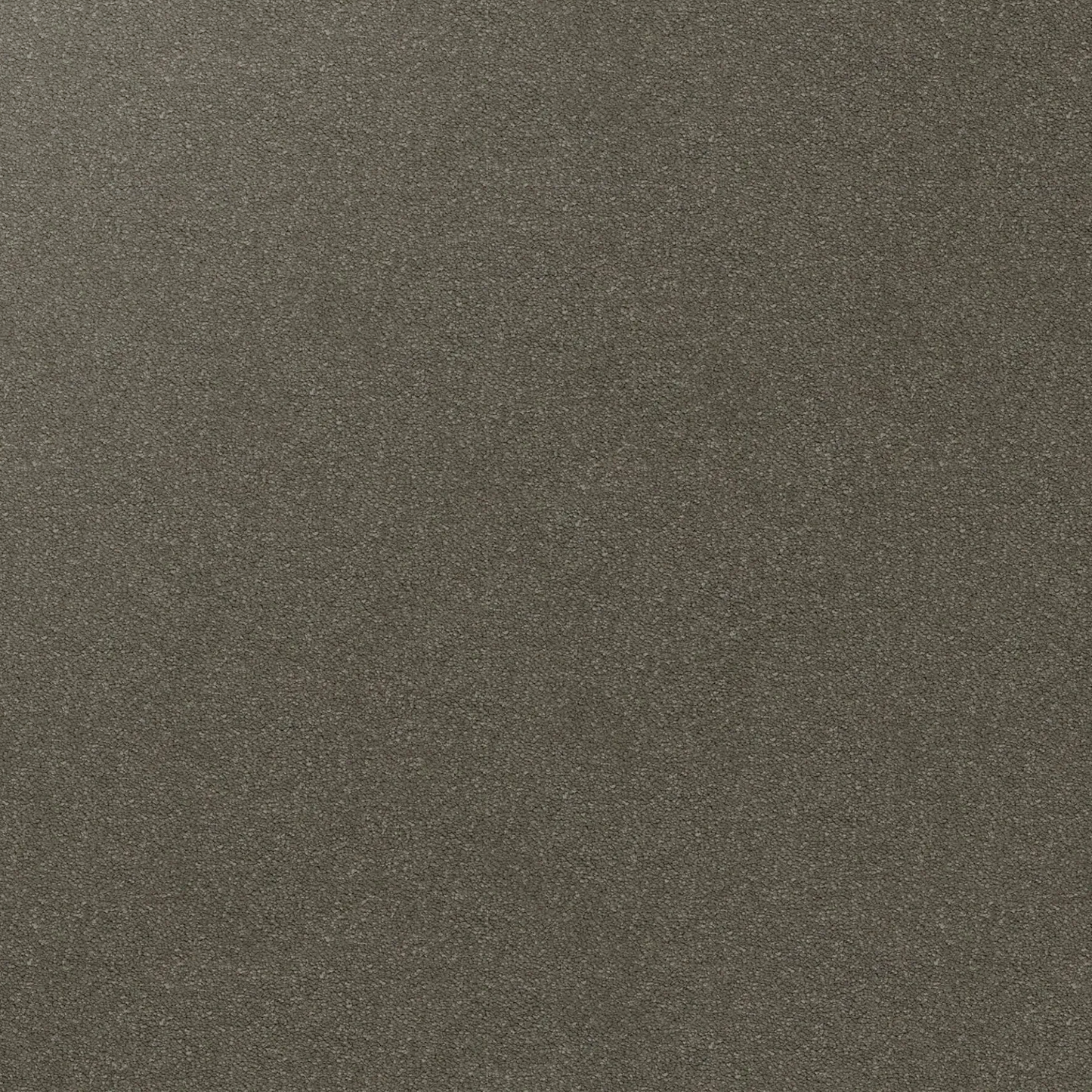 Dream Shadows Carpet