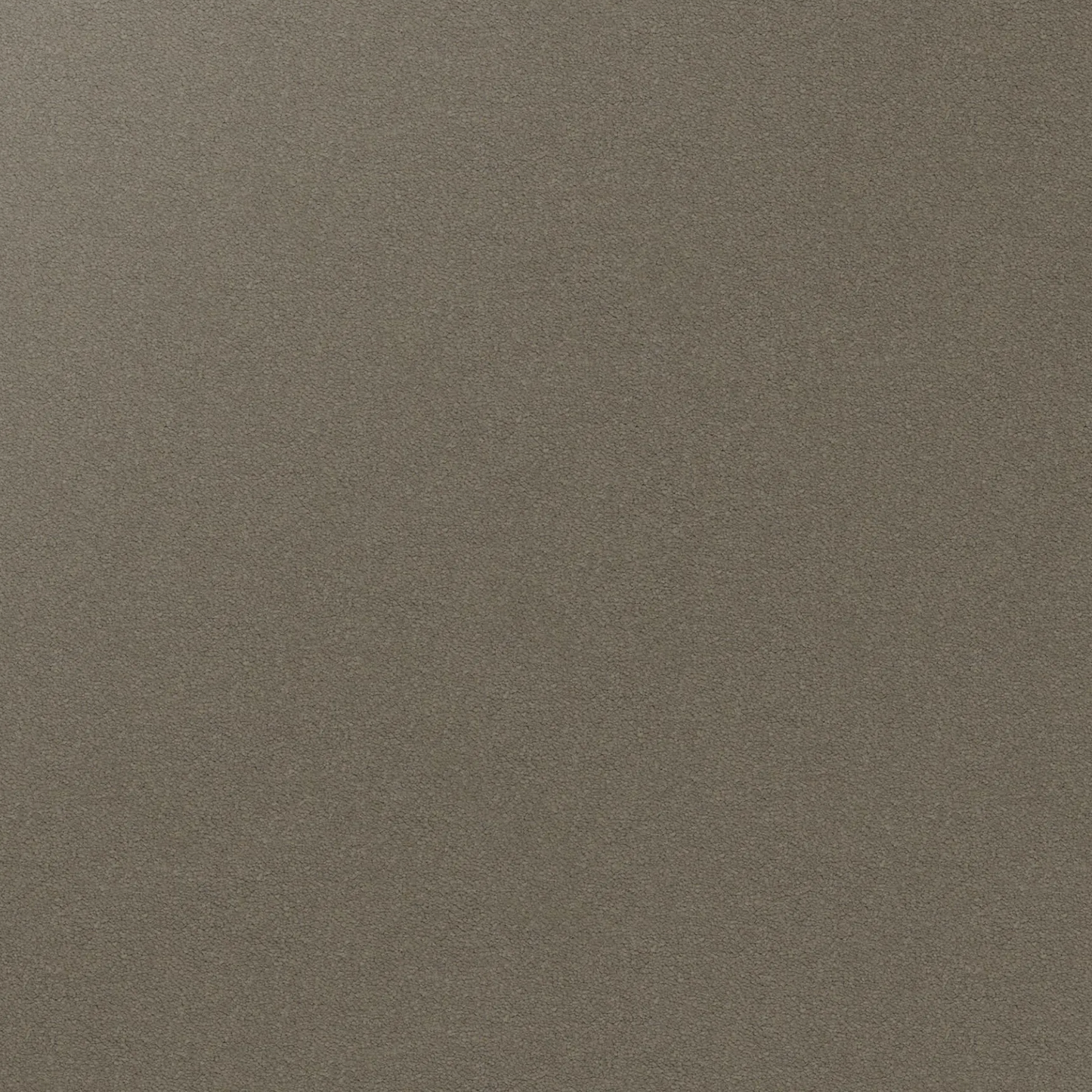 Dream Shadows Carpet