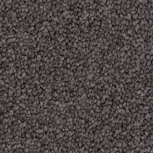 Domain Rise Carpet