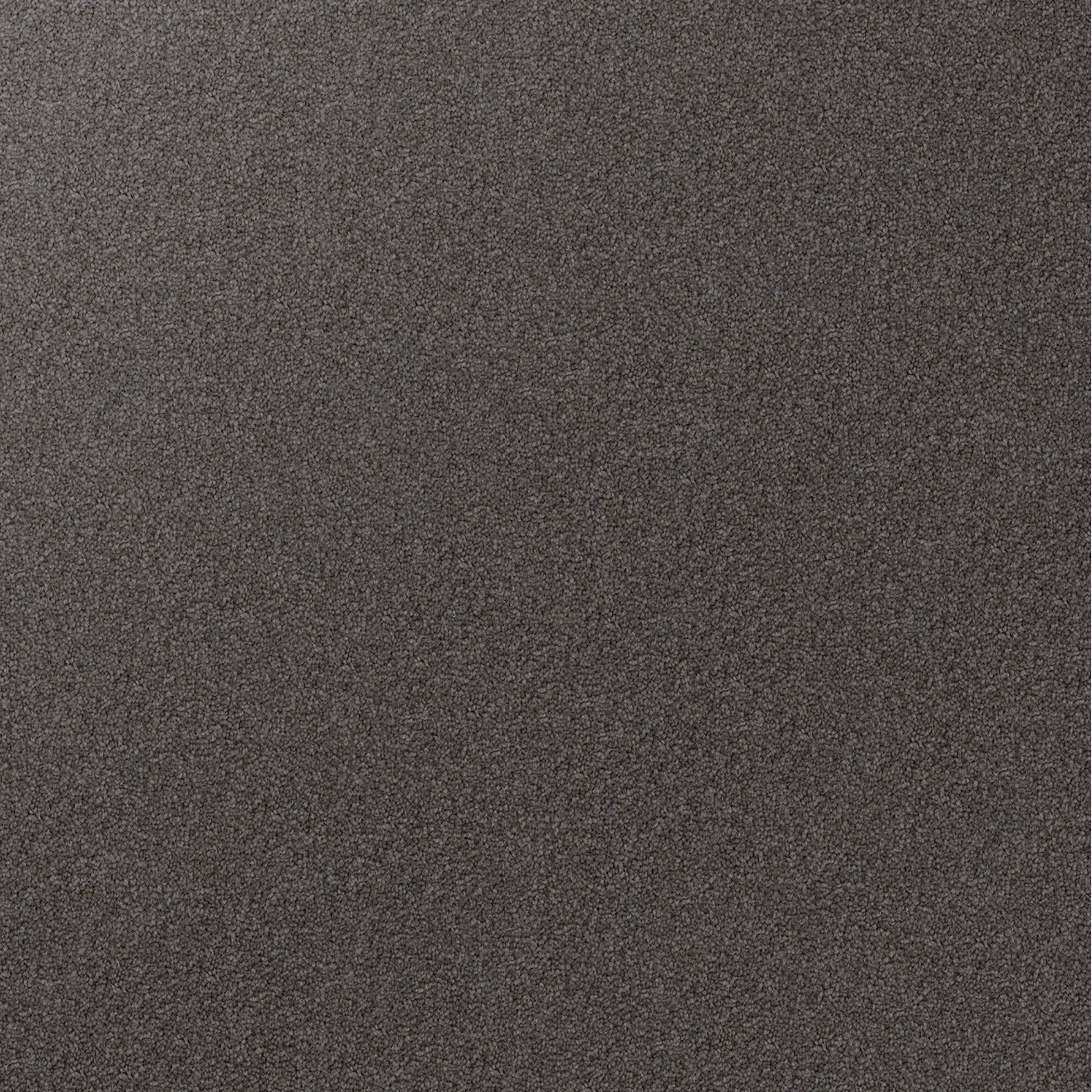 Domain Rise Carpet