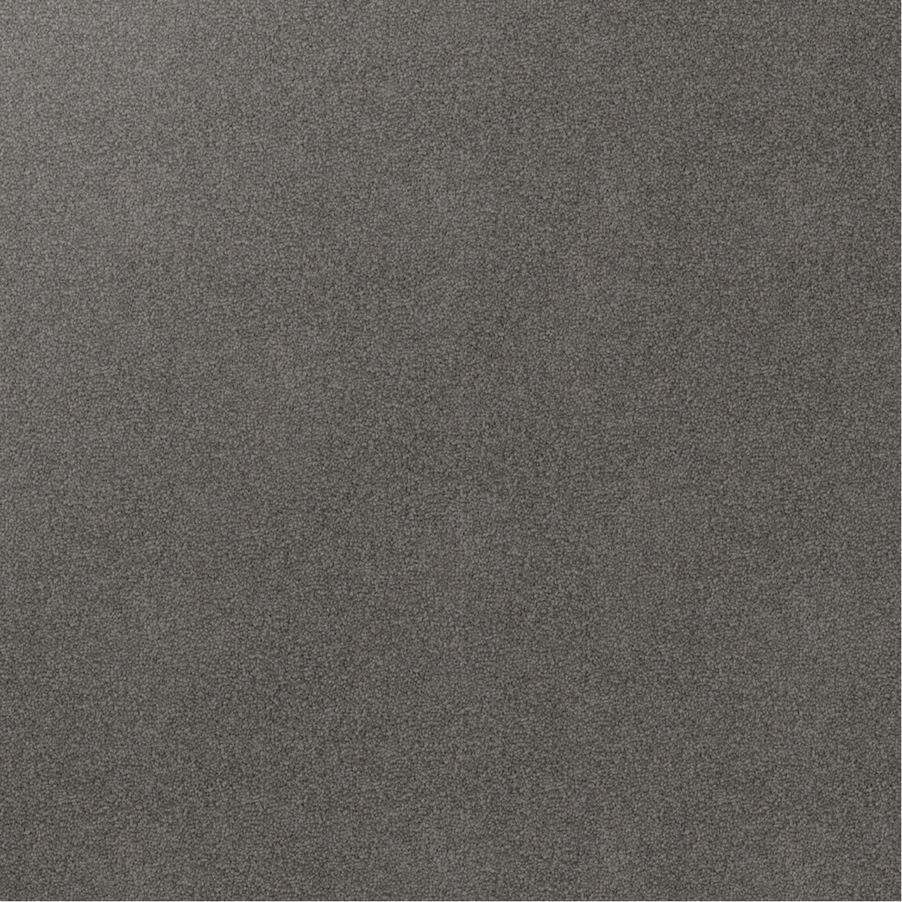 Close-up texture of Soft Sunrise triexta carpet fibres in grey