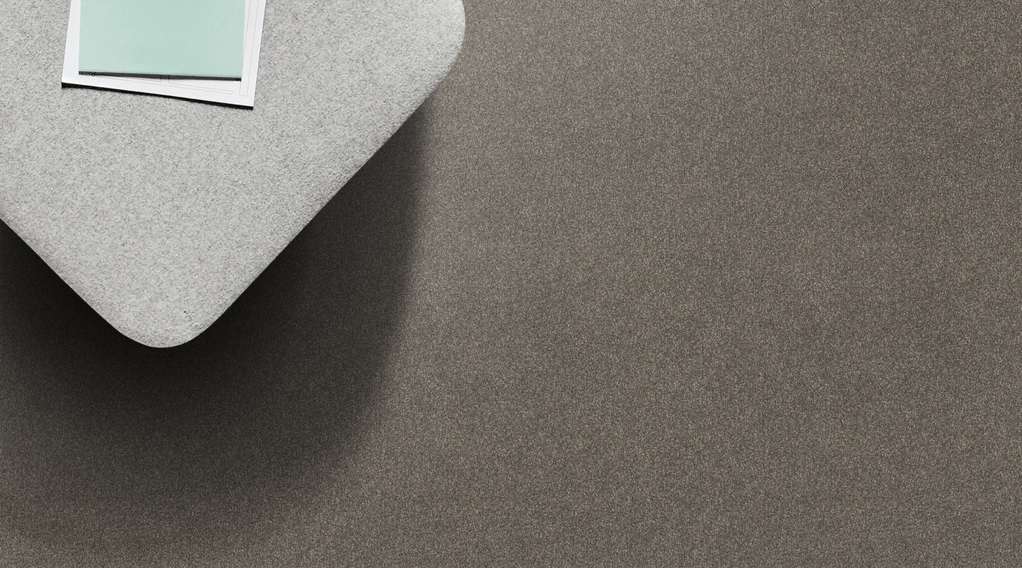 Lasting Touch Carpet