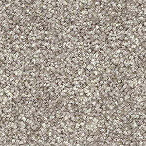 Domain Rise Carpet