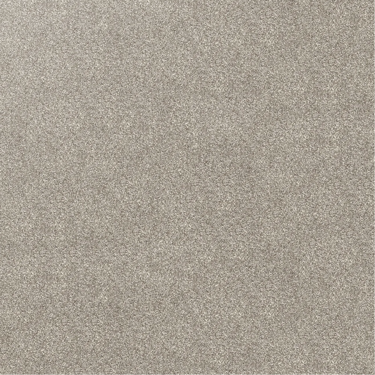 Domain Rise Carpet