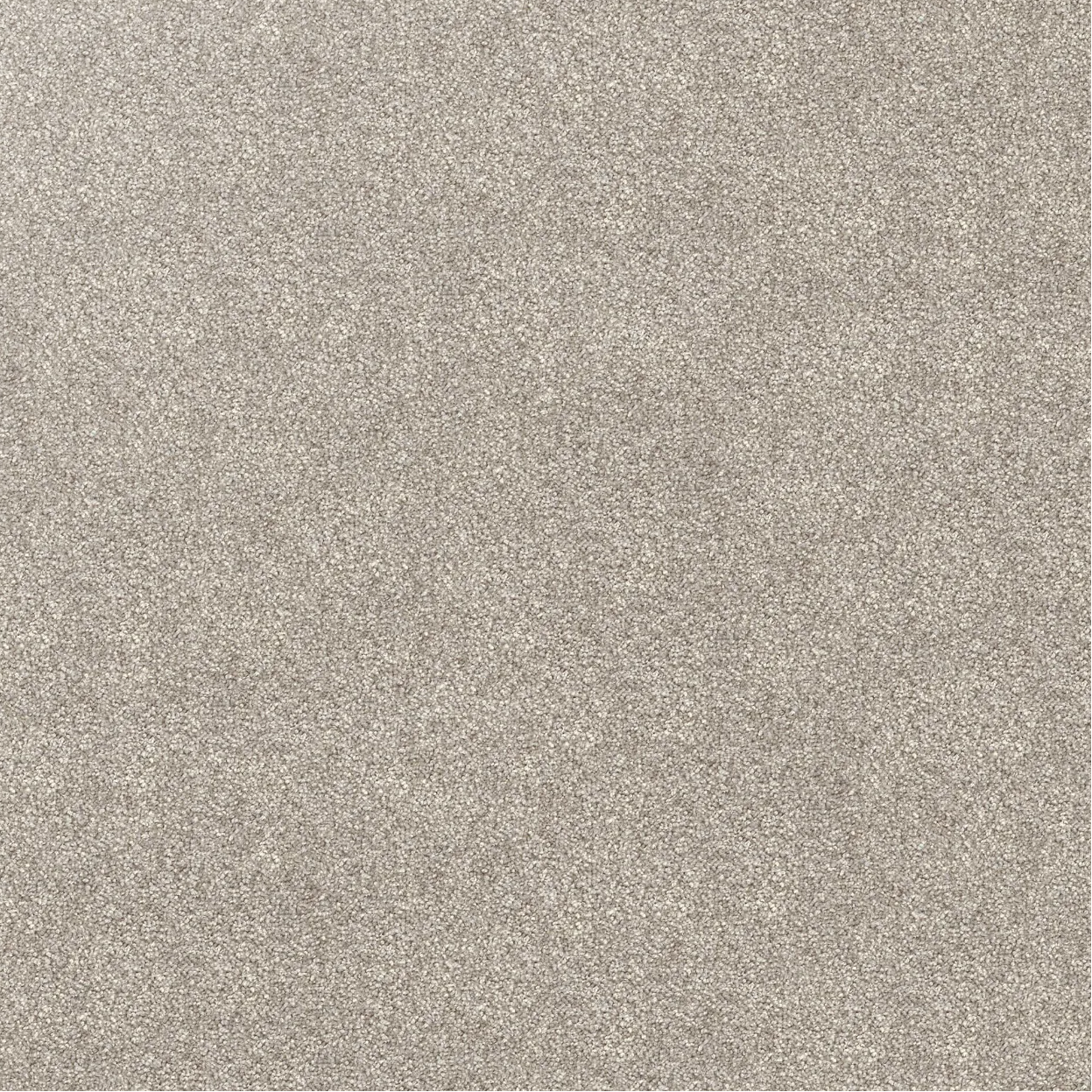 Domain Rise Carpet