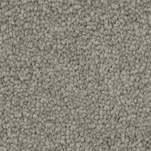 Close-up of Gray Carpet called Greystone from Inspirational range by Godfrey Hirst. Available at Award Carpets.