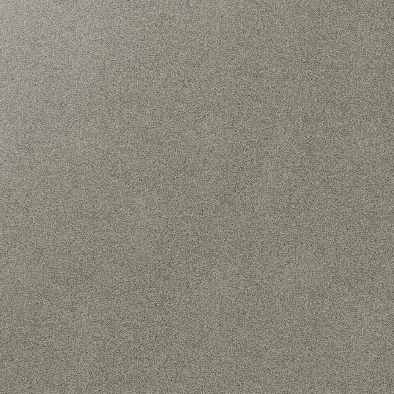 Gray Carpet called Greystone from Inspirational range by Godfrey Hirst. Available at Award Carpets.