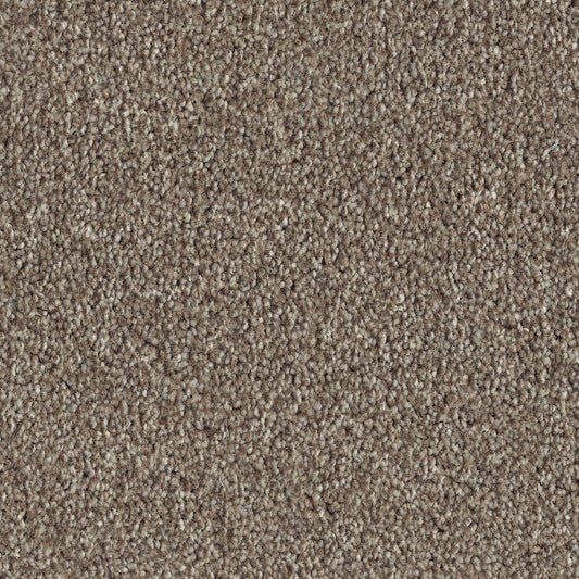 Havari Carpet