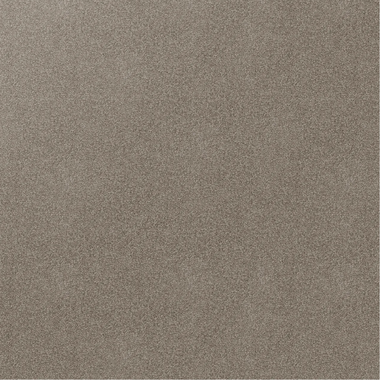 Close-up texture of Soft Sunrise triexta carpet fibres in light brown