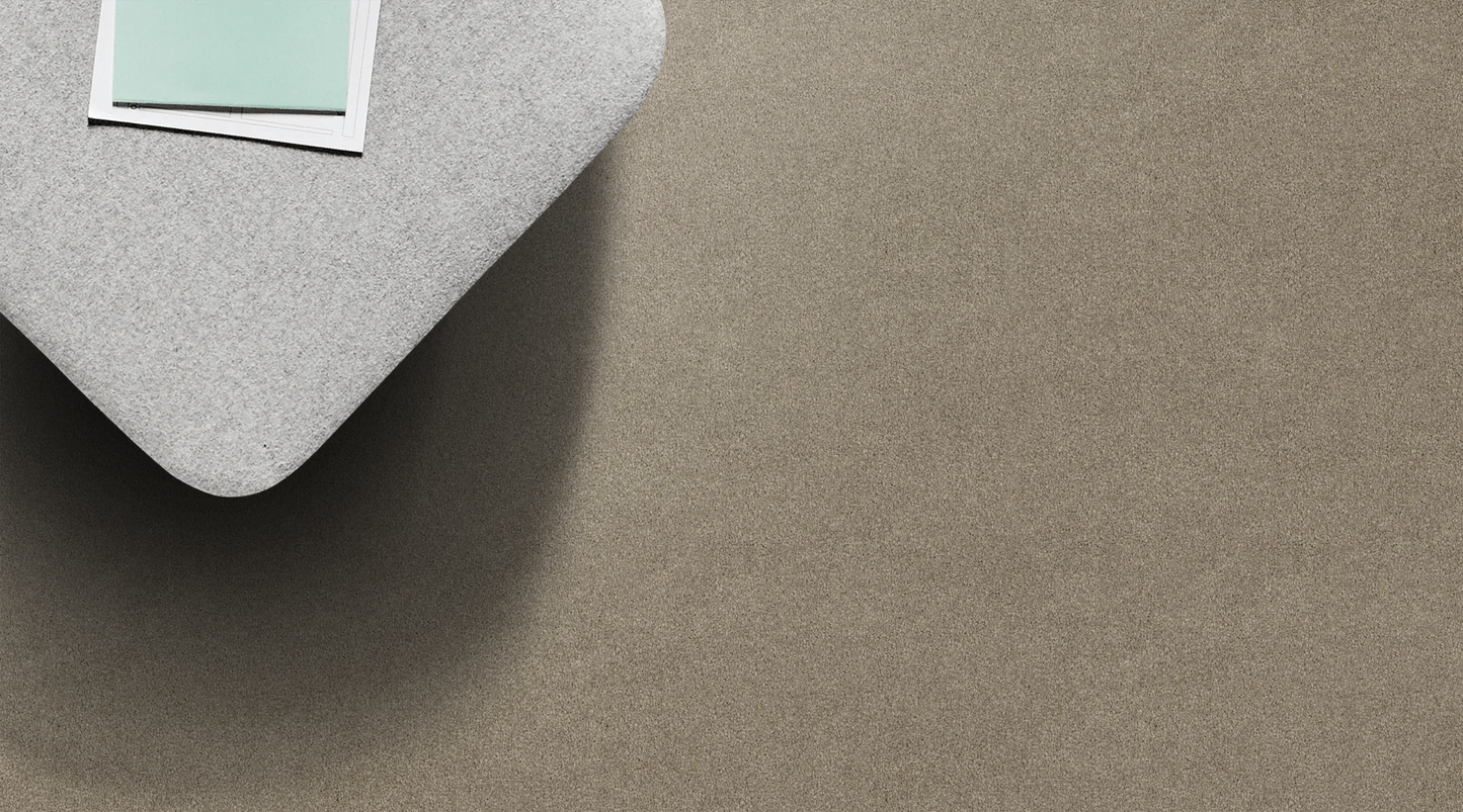 Lasting Touch Carpet
