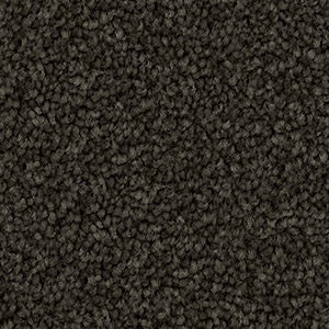Domain Rise Carpet