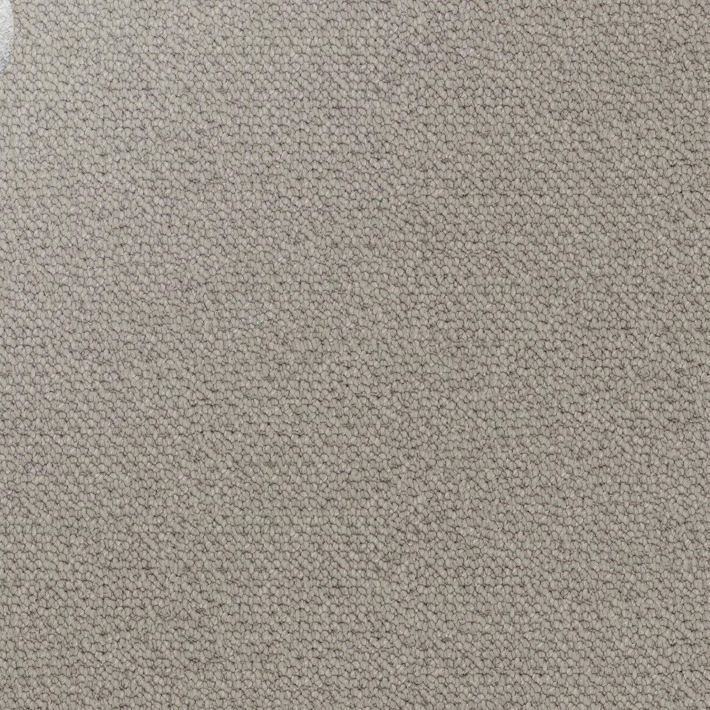 Close-up showing the chunky loop pile texture of solution dyed nylon carpet for family living spaces. Medium Beige