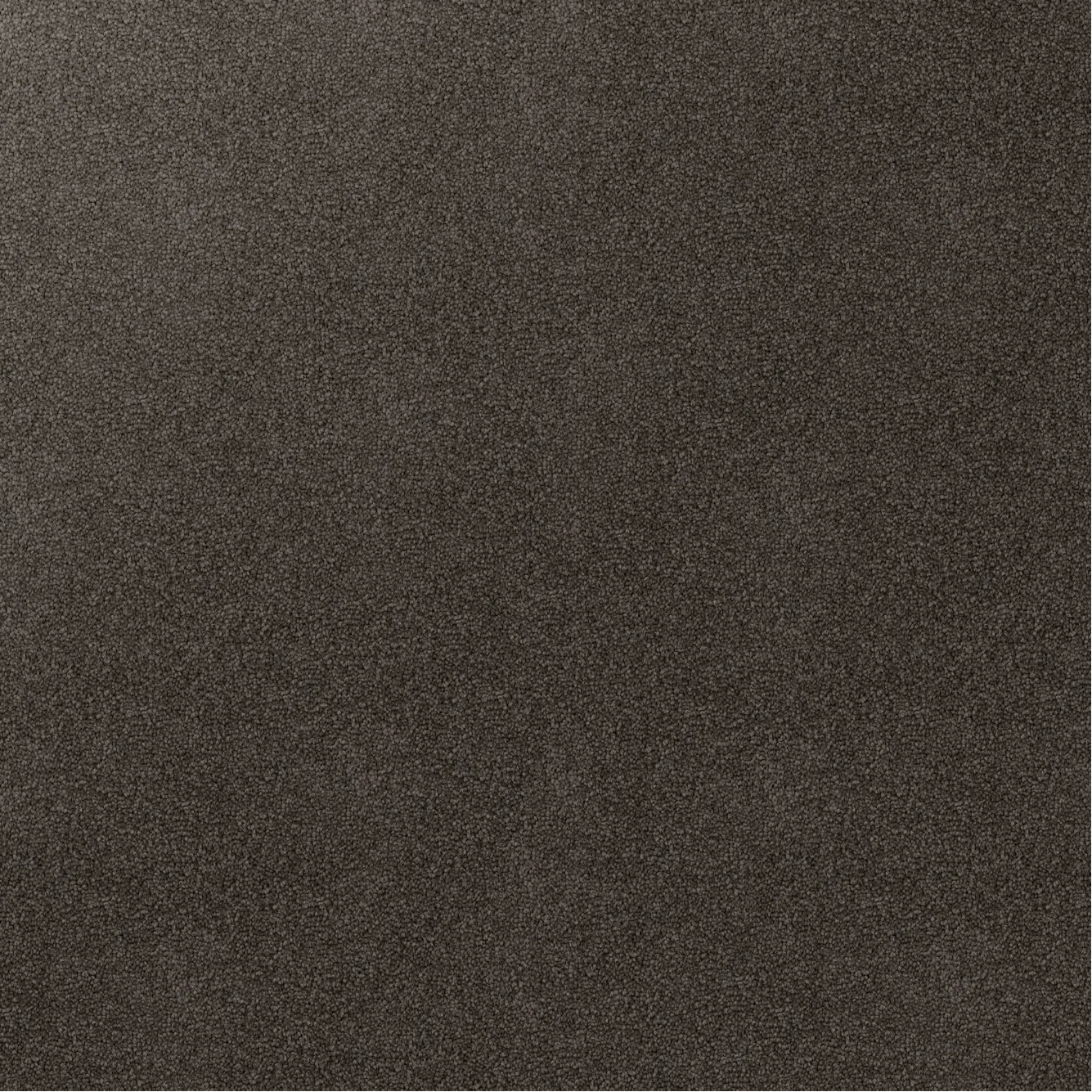 Godfrey Hirst Inspirational Mica carpet sample showing cut pile twist triexta fibres in a warm neutral beige‑grey tone.