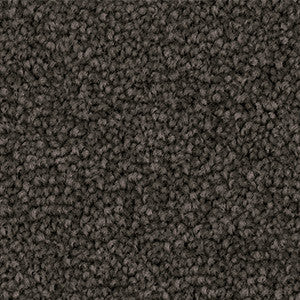 Close-up of Godfrey Hirst Inspirational Mica carpet sample showing cut pile twist triexta fibres in a warm neutral beige‑grey tone.