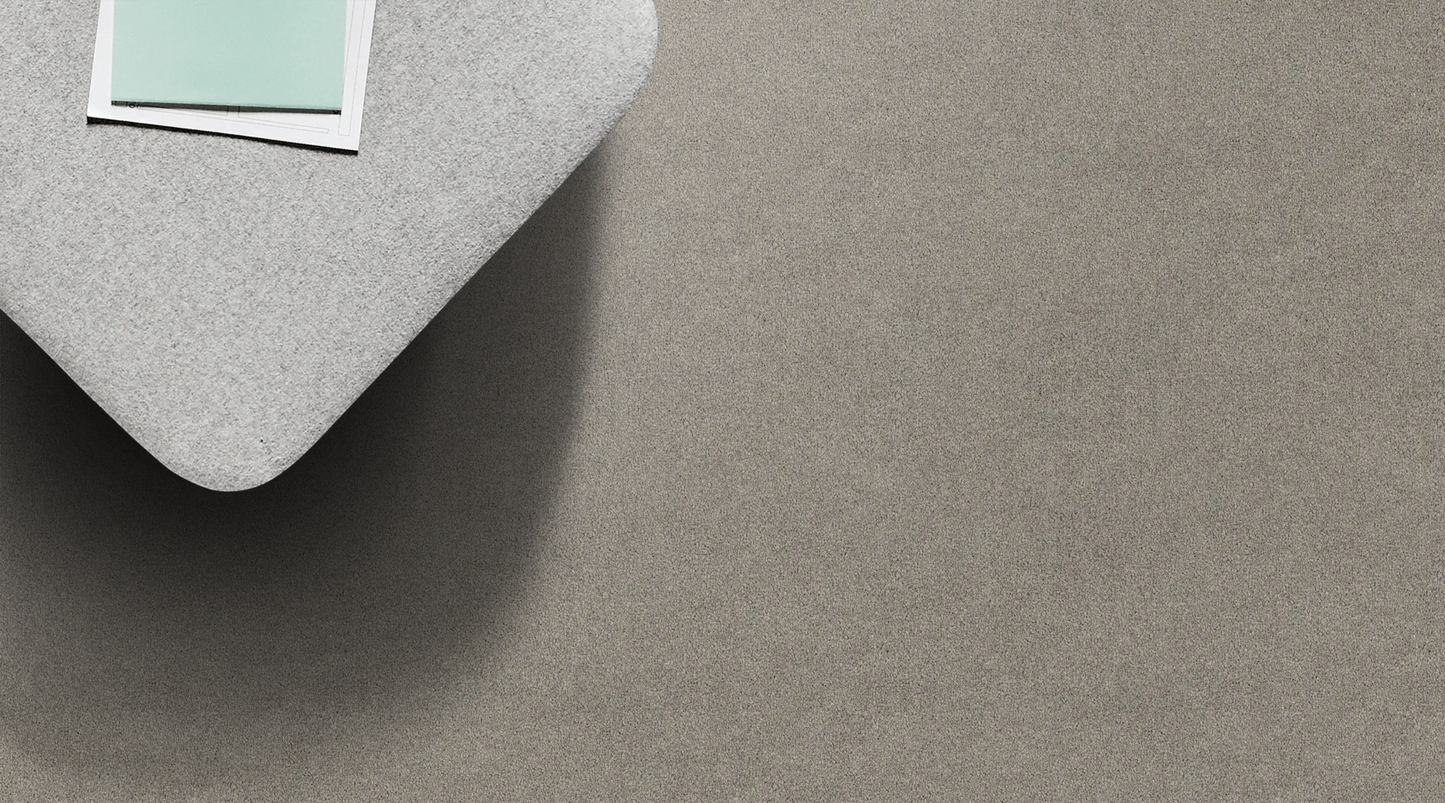 Lasting Touch Carpet