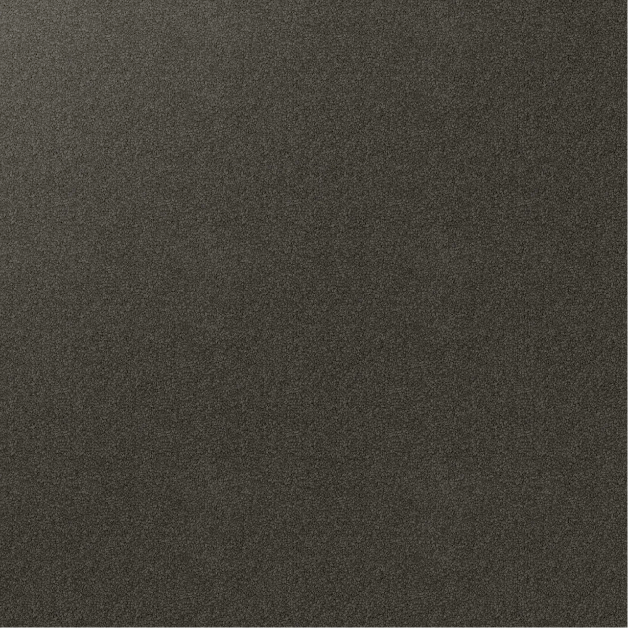 Swatch of textured cut pile twist carpet, Mouse Grey. Dark Grey almost brown.
