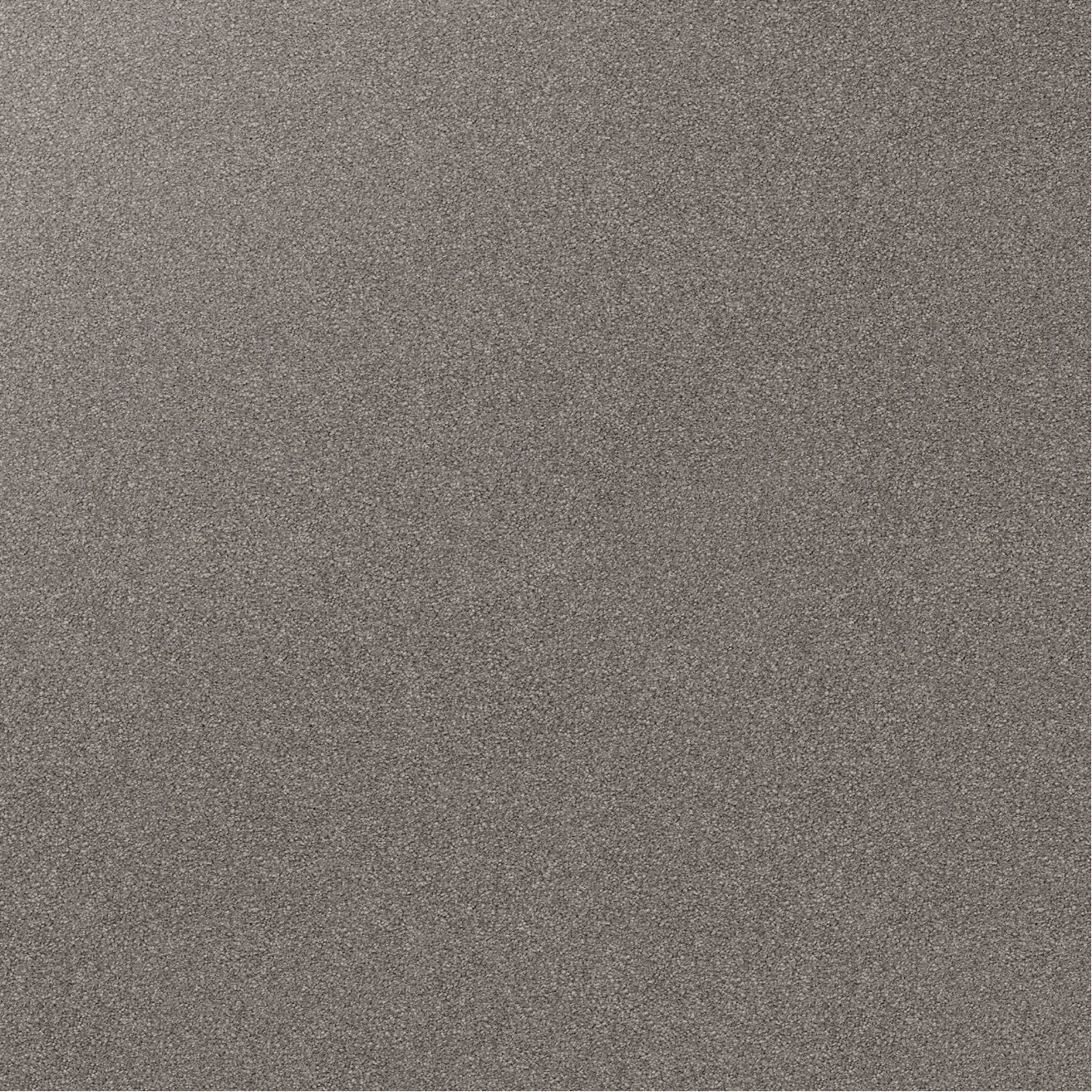 Sample of grey Mushroom Stipple carpet.