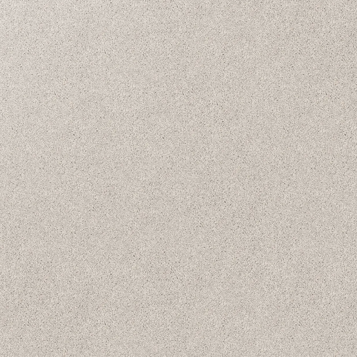 Regal Elegance Carpet