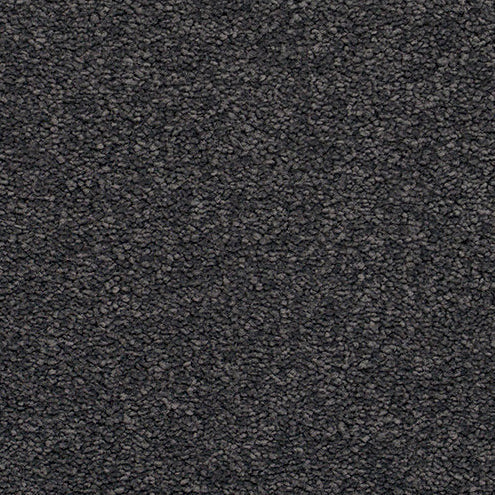 Textured dark gray carpet.