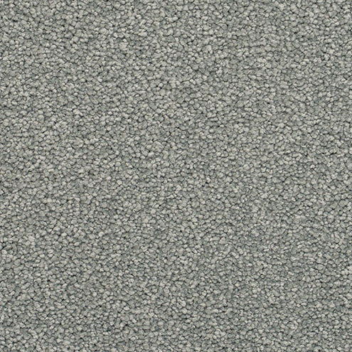 Textured gray carpet.