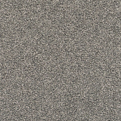 Textured gray carpet.