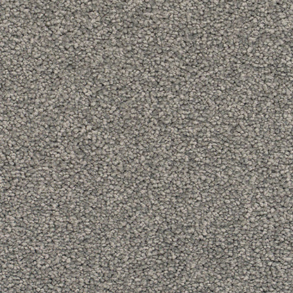 Textured gray carpet.