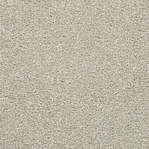 Textured beige carpet.