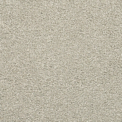 Textured beige carpet.