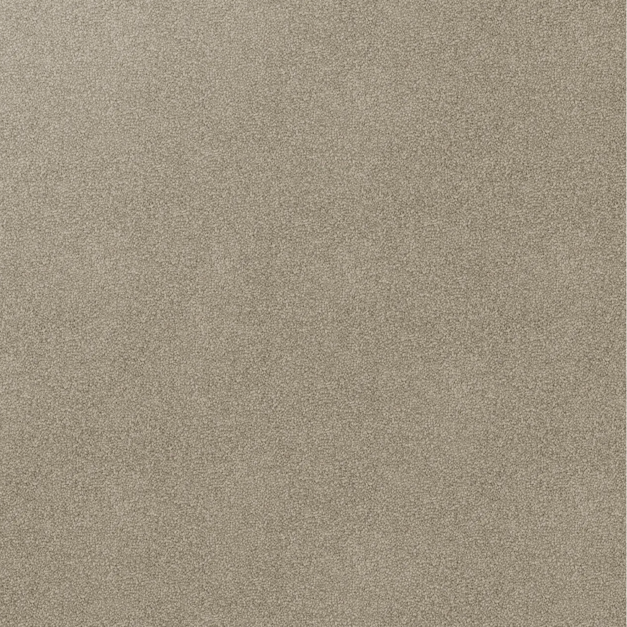 close up of a light brown Godfrey Hirst carpet for home space