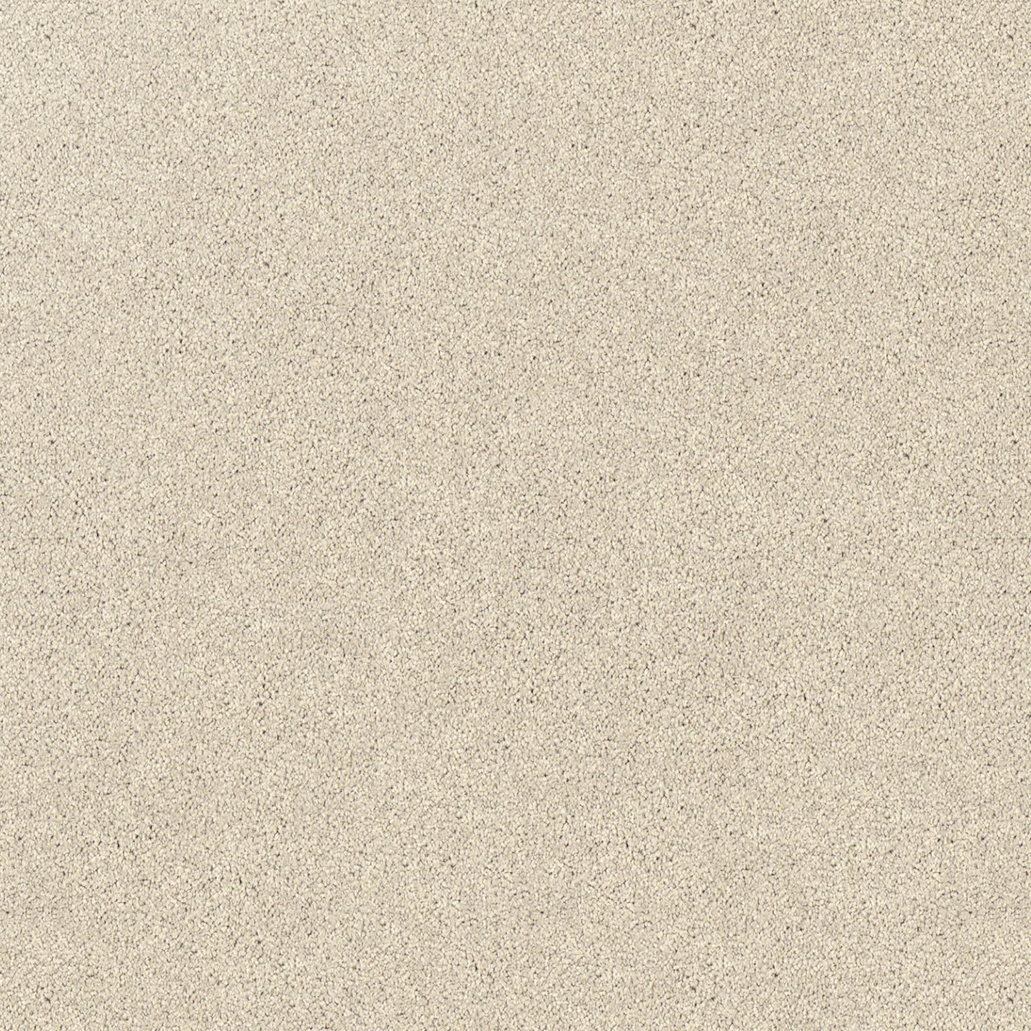 Regal Elegance Carpet