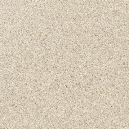 Regal Elegance Carpet