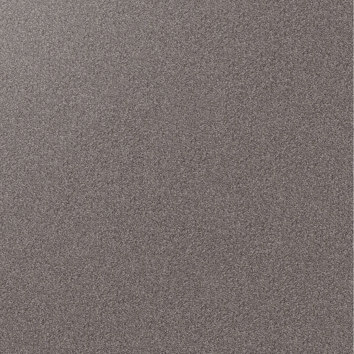 Domain Rise Carpet
