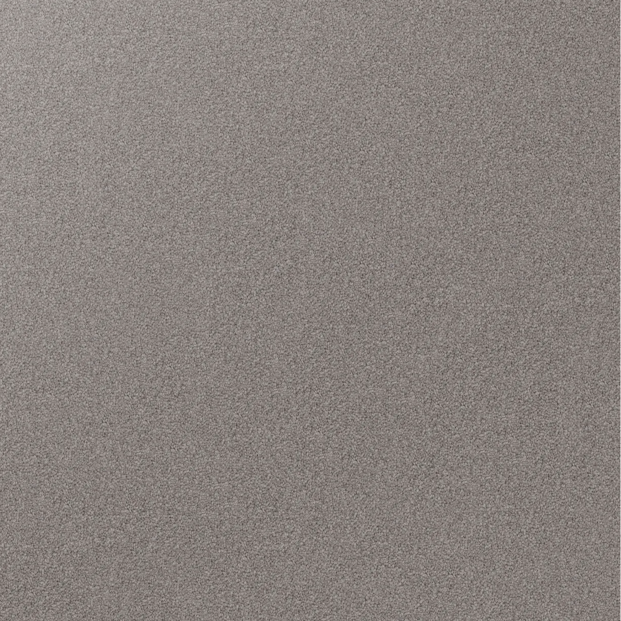 Domain Rise Carpet