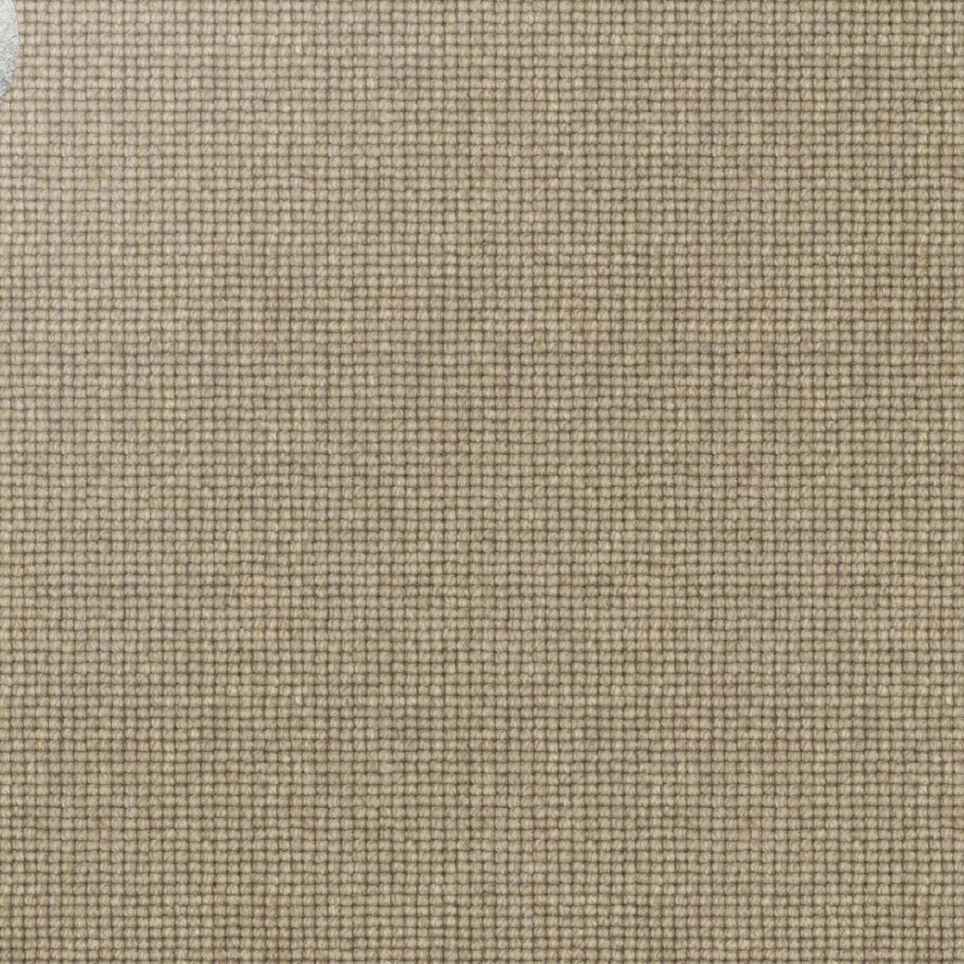Petra Wool Carpet