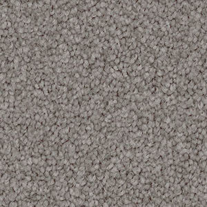 Domain Rise Carpet