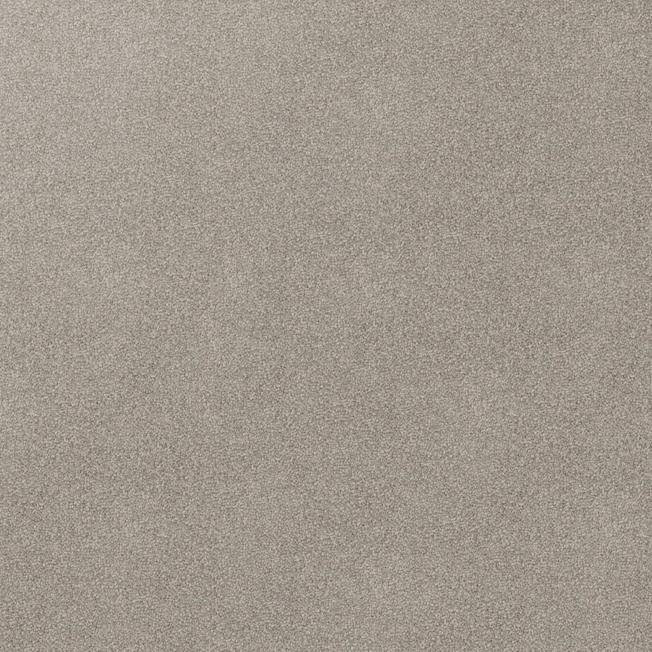 Close-up of a textured gray Godfrey Hirst carpet for home 