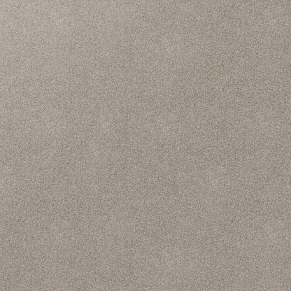 Close-up of a textured gray Godfrey Hirst carpet for home 